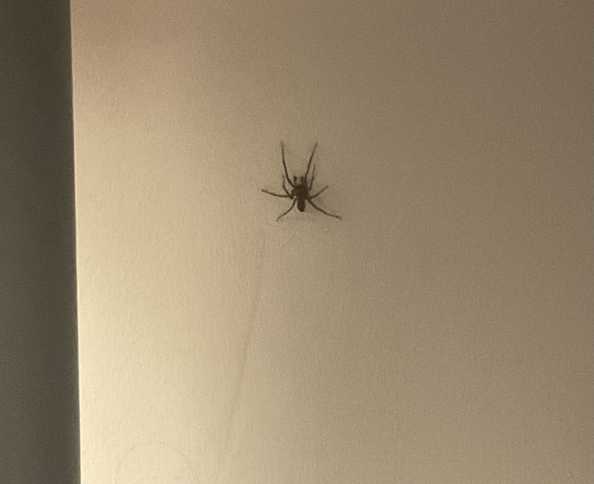 Right above my pillow. Who needs this kind of shit just when you’re trying to go to bed!