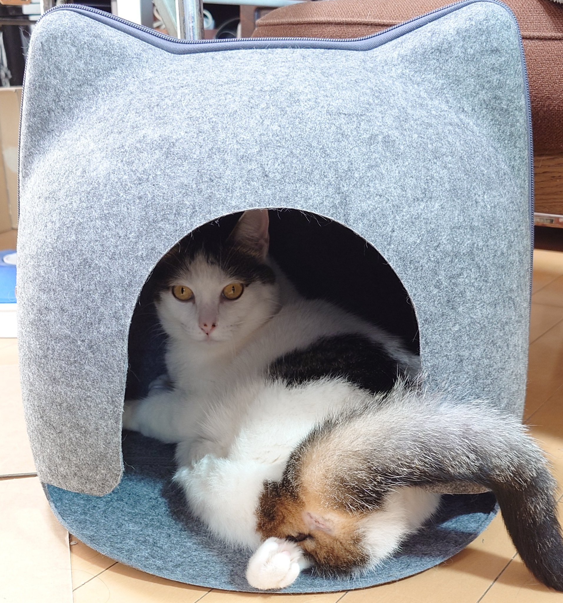 モモンガハウス(猫の郵便・青) 春(夏)秋仕様 Bタイプ  1700円 レインボー モモンガ ハンモック RB ミニメッシュハンモック