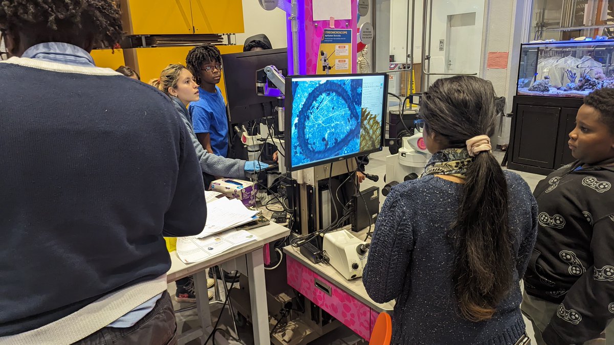 BioBus's tweet image. 🎊🚀 We are excited to invite you West Harlem After School Science to learn about Local Youth Community Science! Join us from 4-6pm on 10/15 at BioBase Harlem.

This event is 🆓FREE🆓and open to everyone - Please register at bit.ly/3KBnVG9  🧬🔬🧫