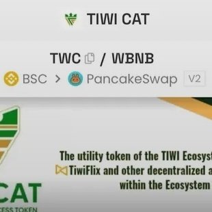 ojim75386's tweet photo. @Cryptoceleb1 TWC to the moon https://t.co/eJXdFwueYt