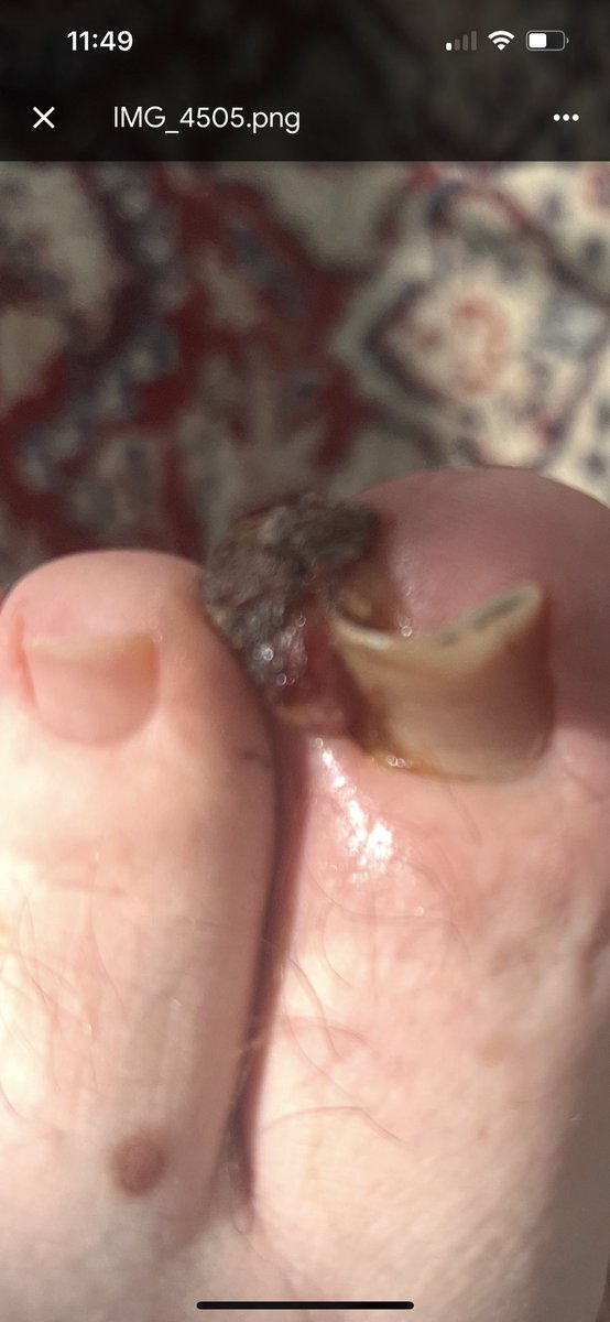 Maria 🇬🇧 tweet media