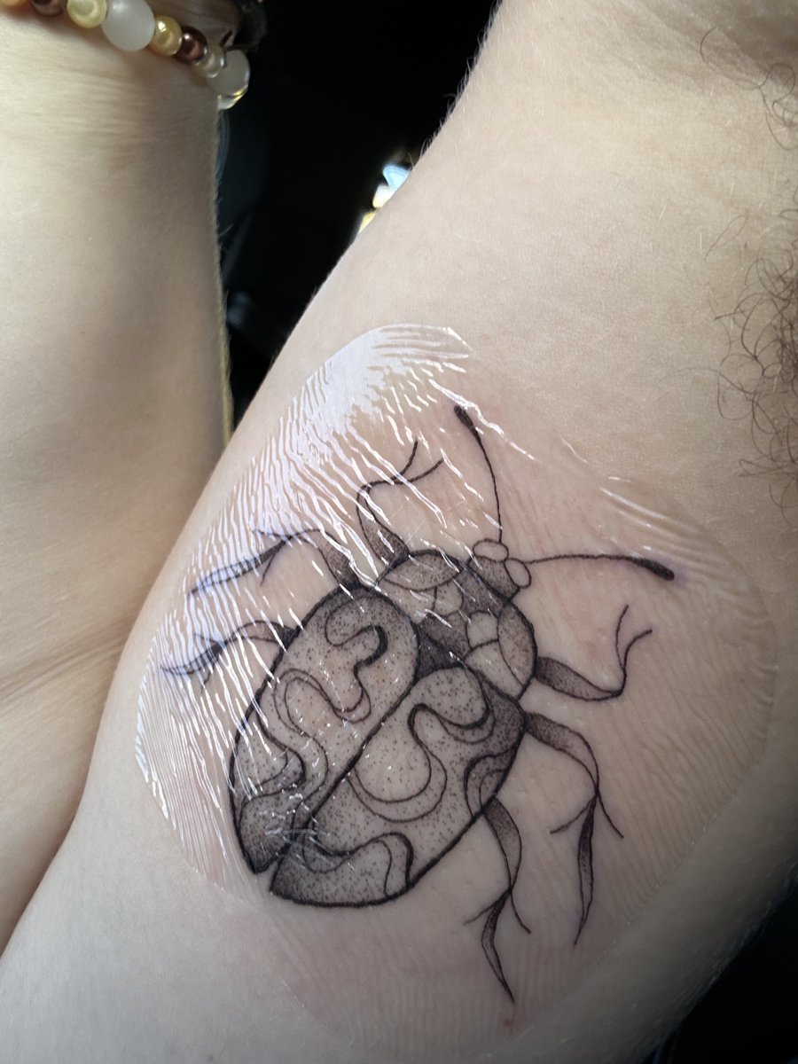 do we think i like bugs