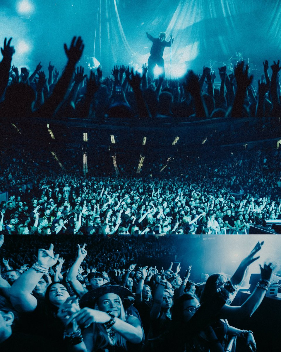 Thornhill tweet media