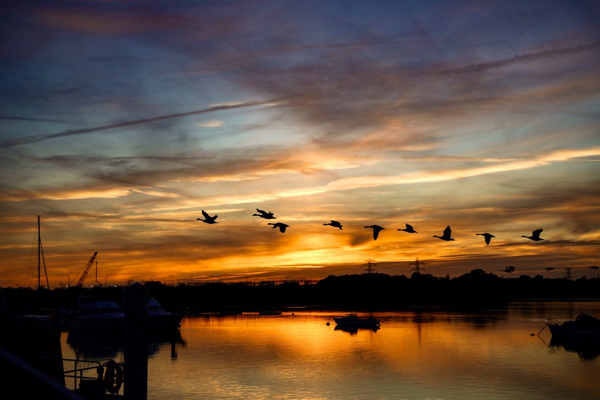 Tartan Eyes tweet media