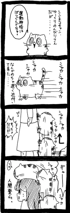 高速ニンゲン登山 
