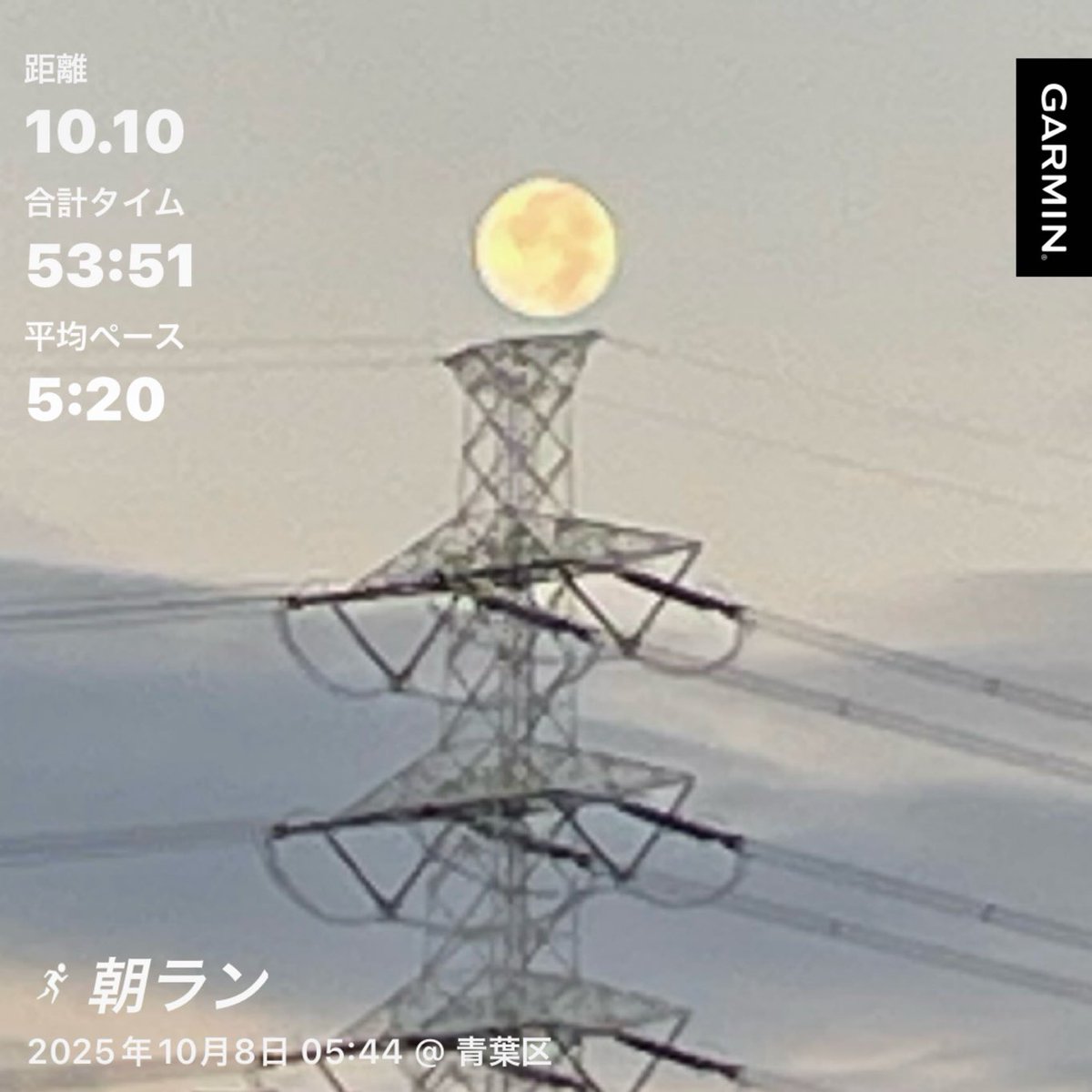 朝ラン
月がたいそう綺麗でございました
