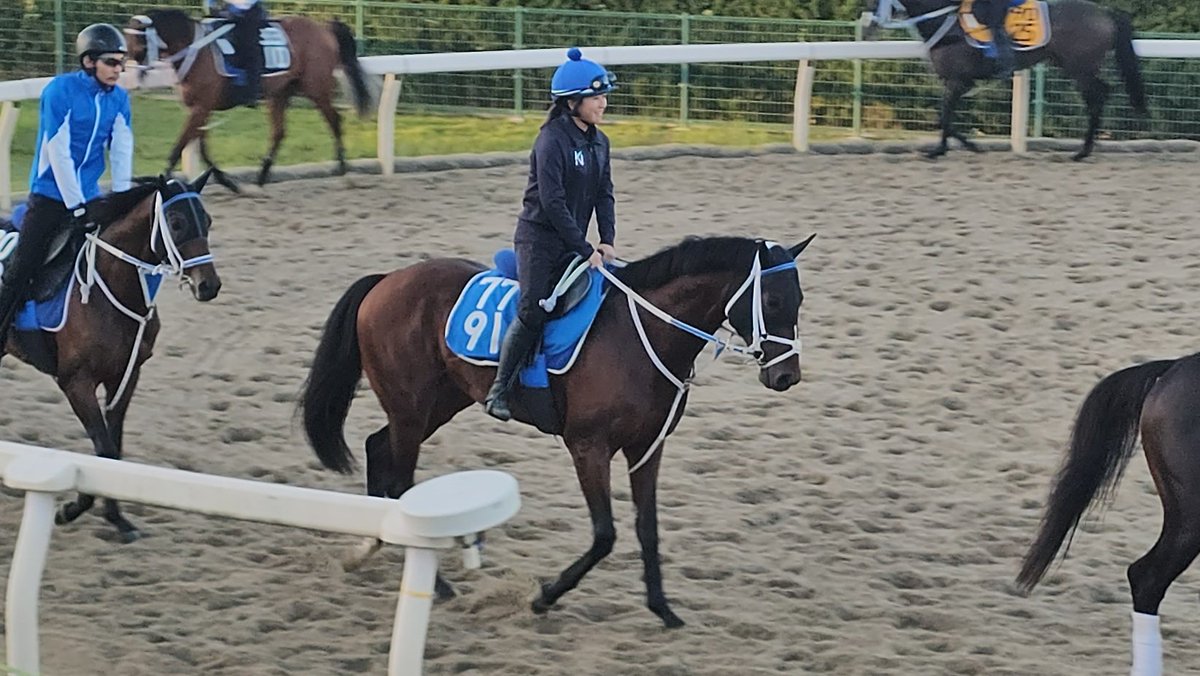 yggowners's tweet image. #ホルトバージ
本日CWコースで併せ馬で追い切り🏇
79.9-65.6-51.6-36.7-11.8
今週の競馬へ