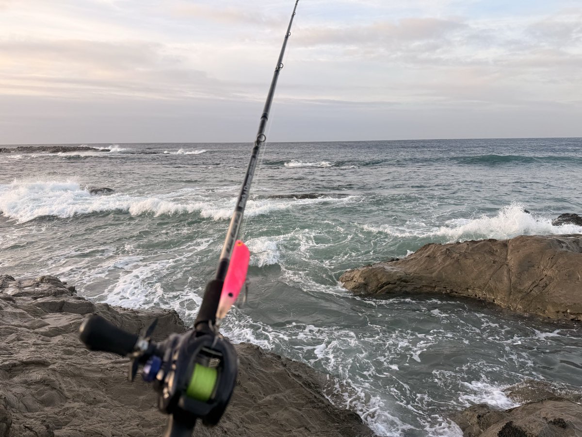 murachio's tweet image. 濁りと高水温で諦めた😇