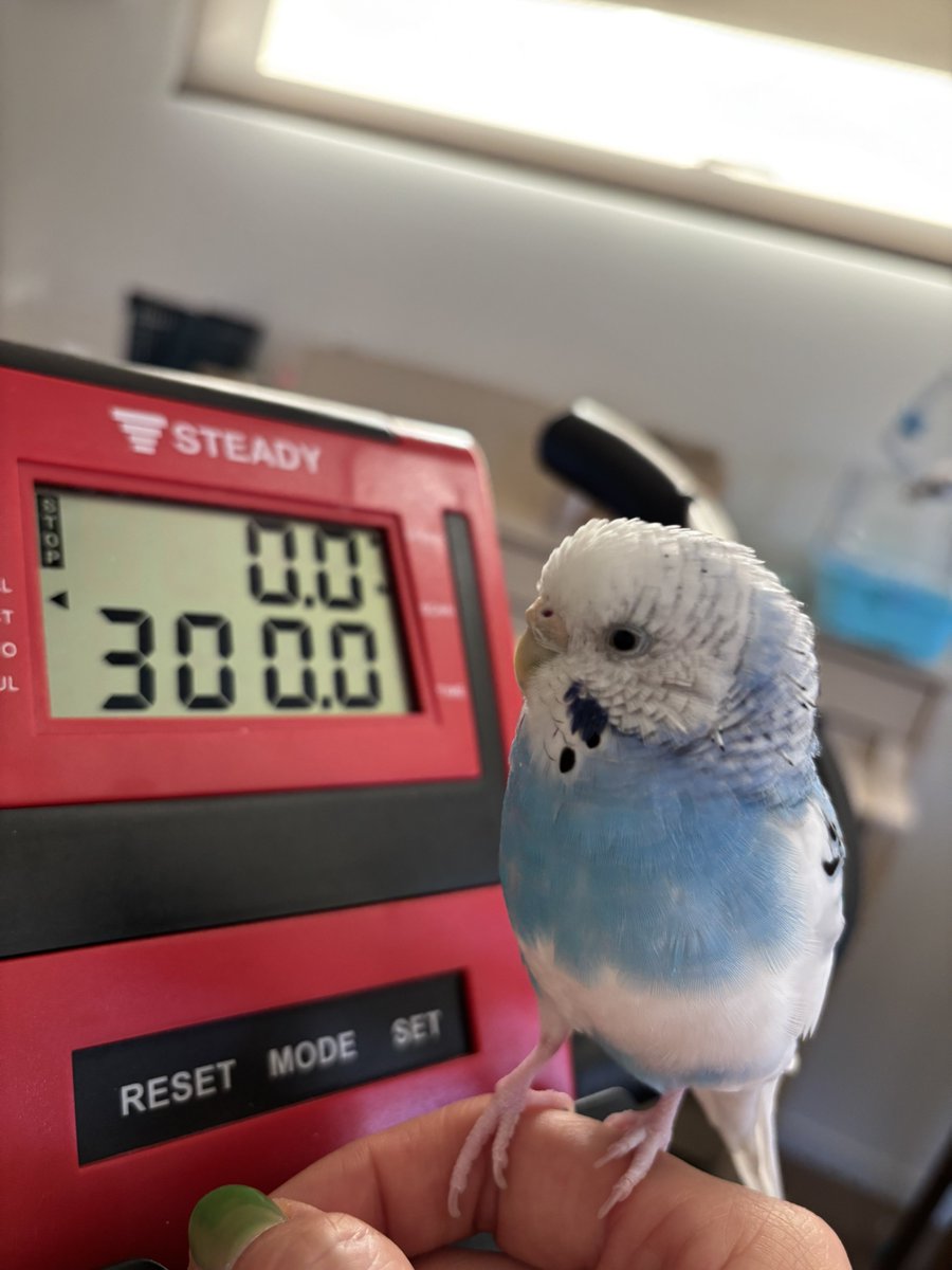 Tweet media one