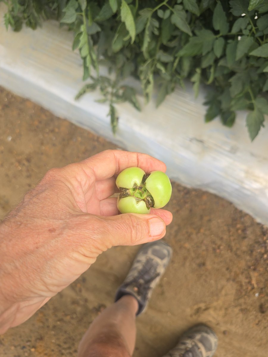 Tim Flanders tweet media