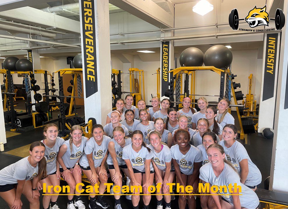 WSC Strength tweet media