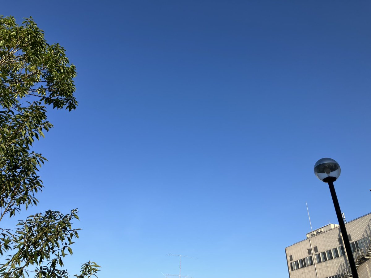 おはようございます☀️
雲が無いのは久しぶりかもしれないですね。
台風が近づいている様です。
気をつけなきゃです。
今日も頑張る💪('ω'💪)
 #イマソラ