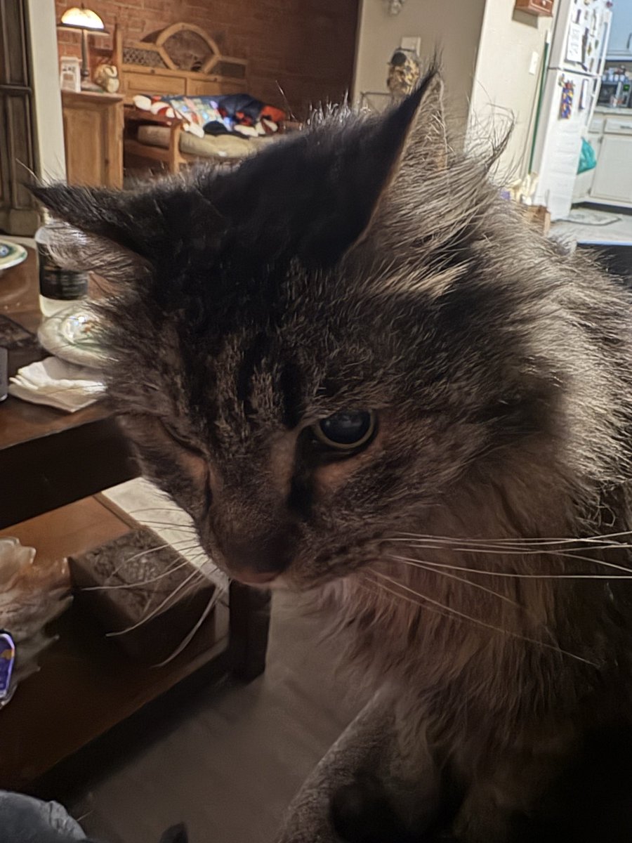 Poseidon tweet media