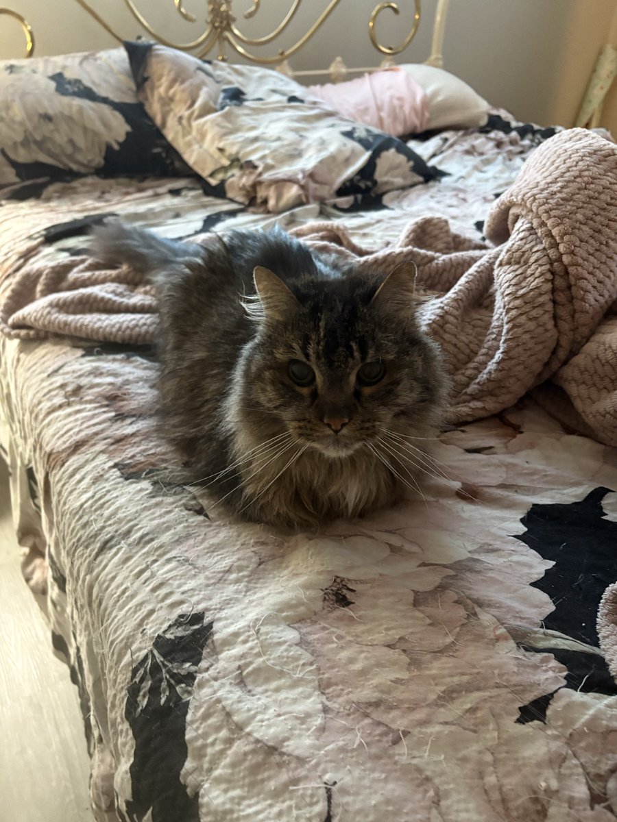 Poseidon tweet media