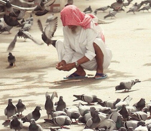 ssaharth's tweet photo. "مُت فارغاً "
عنوان كتاب ملهم جاء فيه أيضاً:
"لا تذهب لقبرك وأنت تحمل بداخلك أفضل ما لديك. سلم كل الخير الذي بداخلك قبل أن ترحل. إذا كنت تملك فكرة جيدة نفذها، علما نافعا بلغه، هدفا عميقا حققه. لا تكتم الخير داخلك فتموت متخماً ولقمةً سائغةً لدود الأرض.!. https://t.co/0E1aaaOdIa