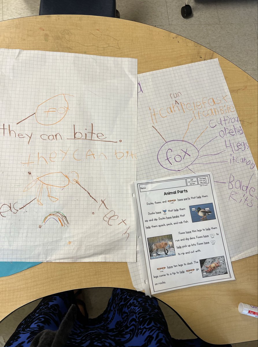 Kimiko Shibata 🦋 tweet media