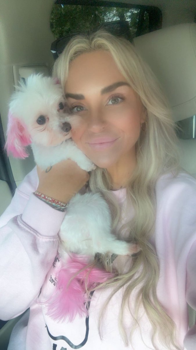 Casper got some pink for #BreastCancerAwareness month 💗💗💗 🐾