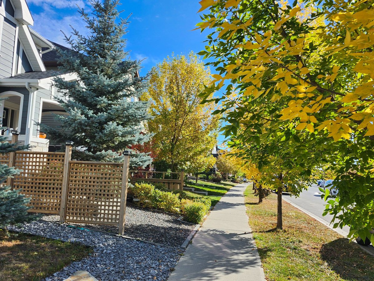 WalkingCalgary's tweet image. Today&apos;s picturesque moments from #Legacy.

#Calgary  #yyc