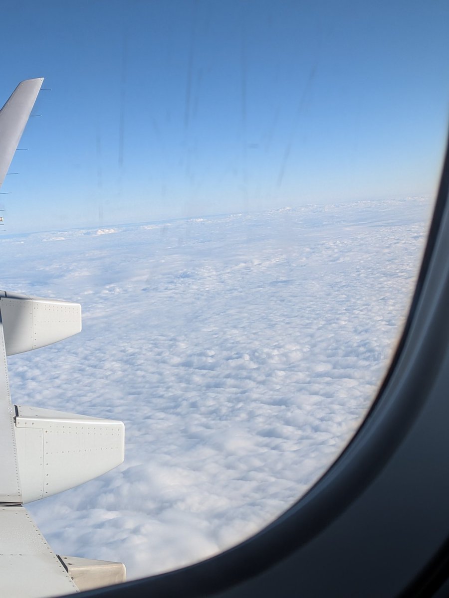 maruchi_matsu's tweet photo. 雲の上✈️ https://t.co/gJNygF7vY5