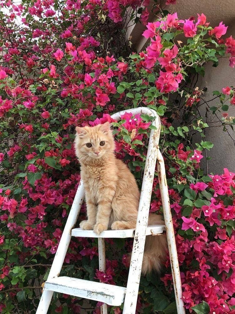 صباح الورد على القلوب النقية، اللهم يوماً جميلاً تُفتح فيه الأبواب المغلقة وتُستجاب فيه الدعوات. ☀️
#صباح_الخير #صيف99