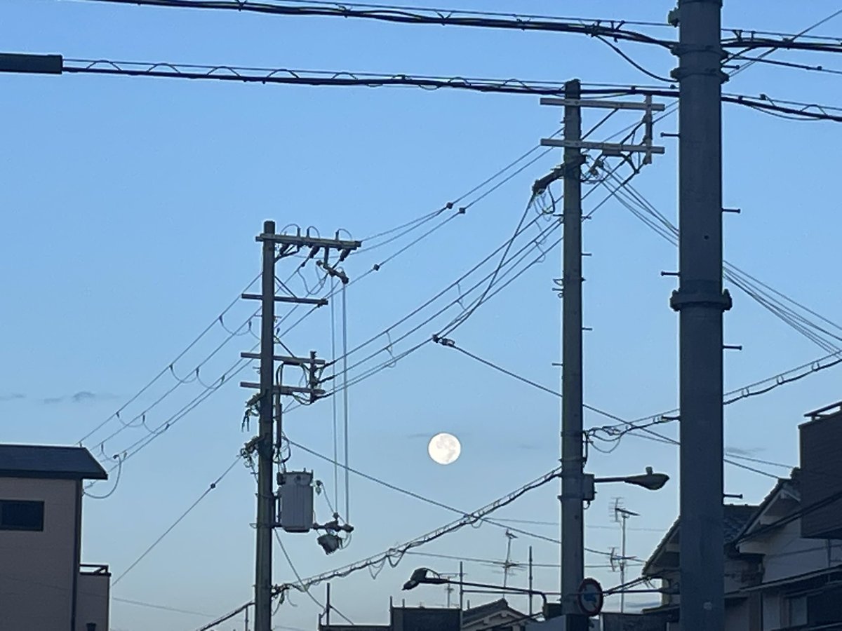夜明けが遅くなった！今日の空気はメッチャ気持ちがいい😼そして、ギリで満月も見れた✨💕