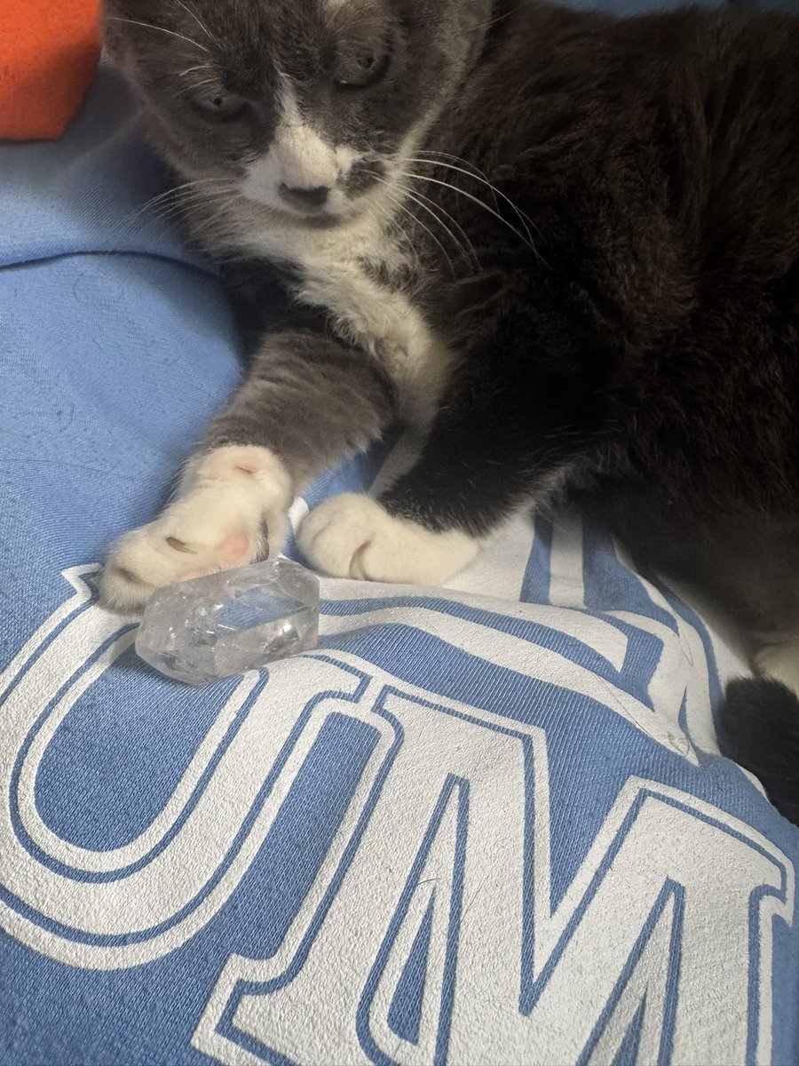 prettykittyjeff's tweet image. @chedstack mom. here . my paw and my chistal. quartz type.