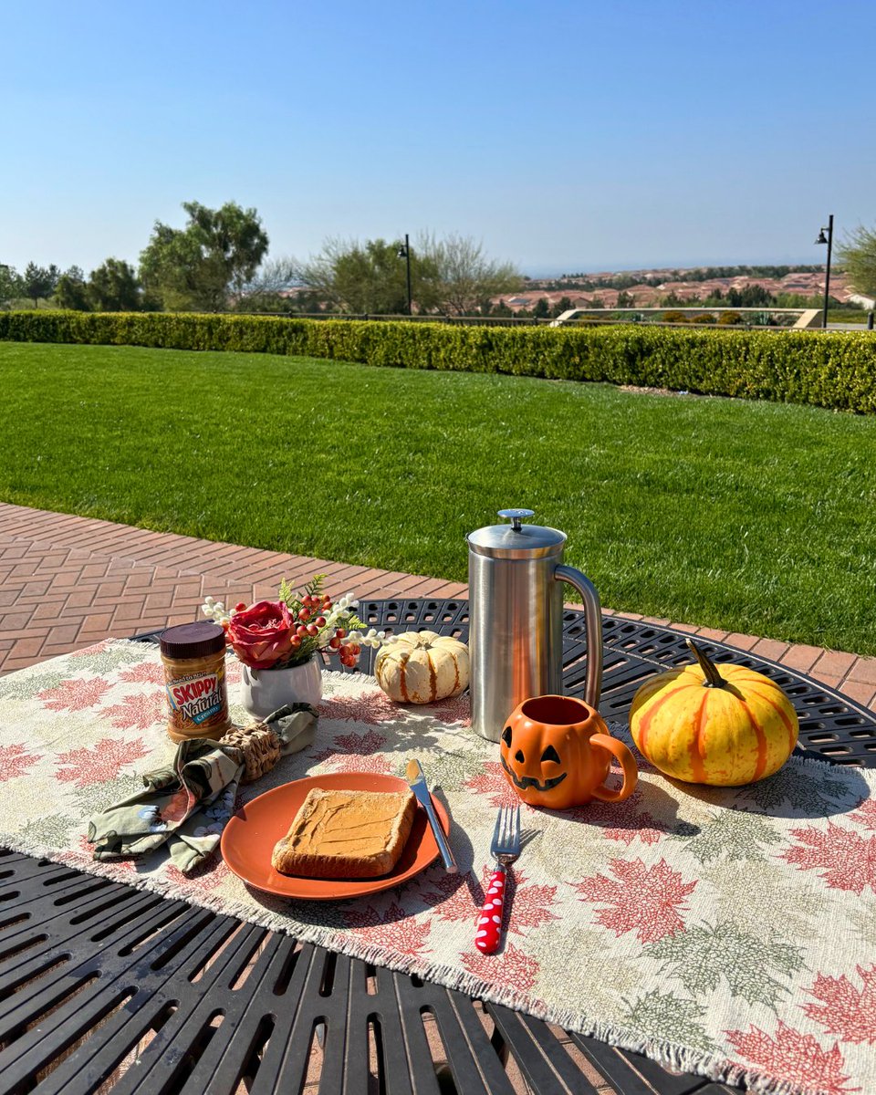 ANNOVAme's tweet image. Morning toast tastes better with a view like this ☀️🍞
#ANNOVA #ANNOVAME #TableSetting #TableDecor #Tablescape #Tableware #TableStyling #TableSettingIdeas #TableDecorInspo #TableDesign #TableSettingInspo #TableDecorIdeas #pumpkin #toast #view #outside #outdoors #camping