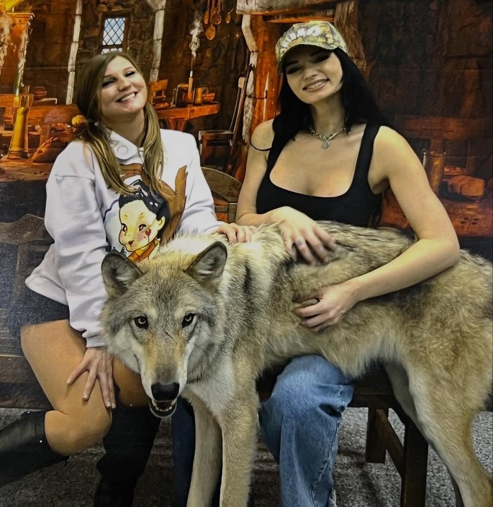 TheWildCat___'s tweet image. Saraya with a wolf 😲
Credit: wrestlingleva