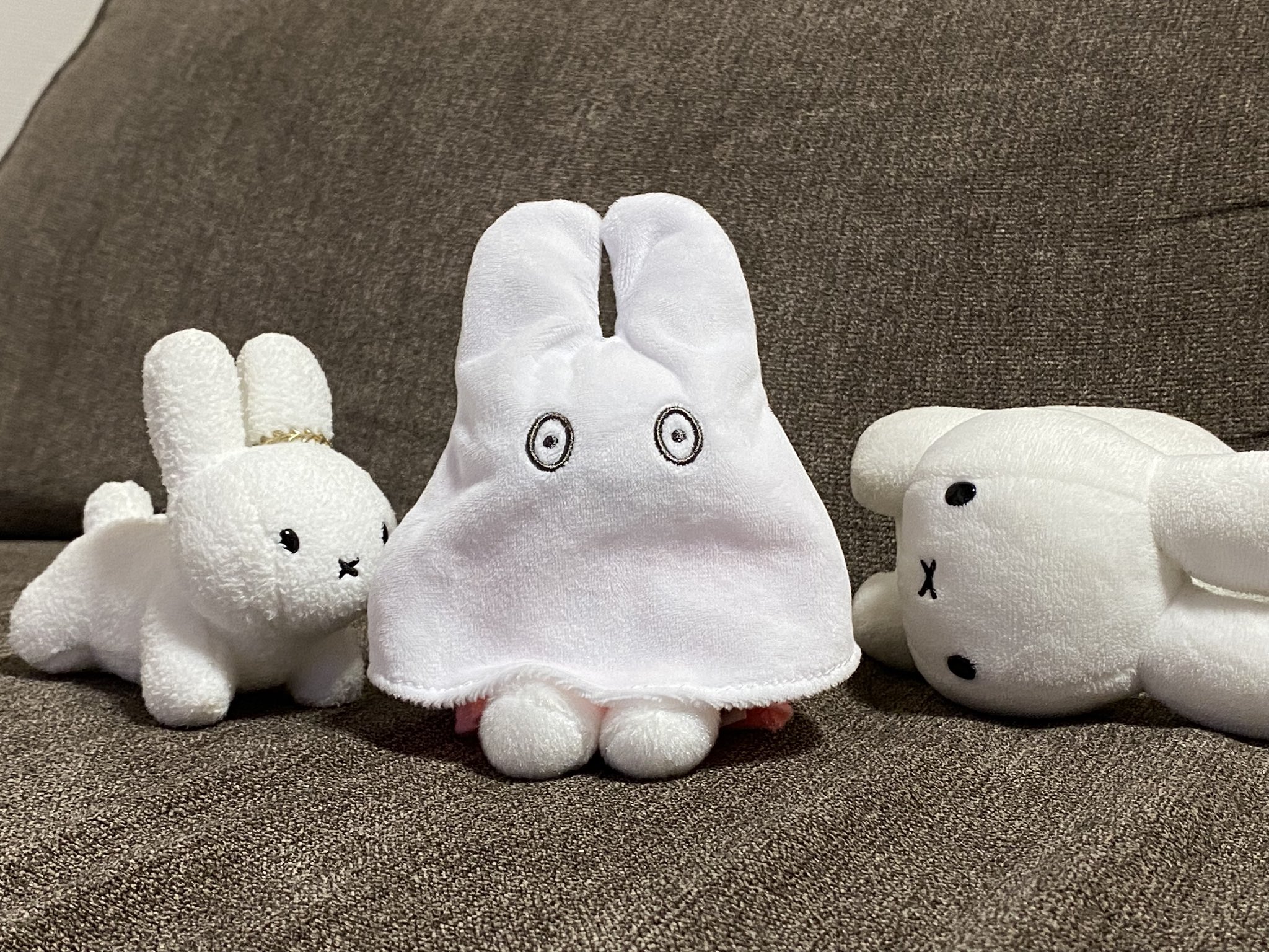 野生のうさぎ on X: 