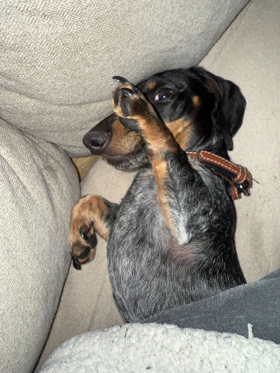 𝔻𝔼𝔸𝔻™ tweet media