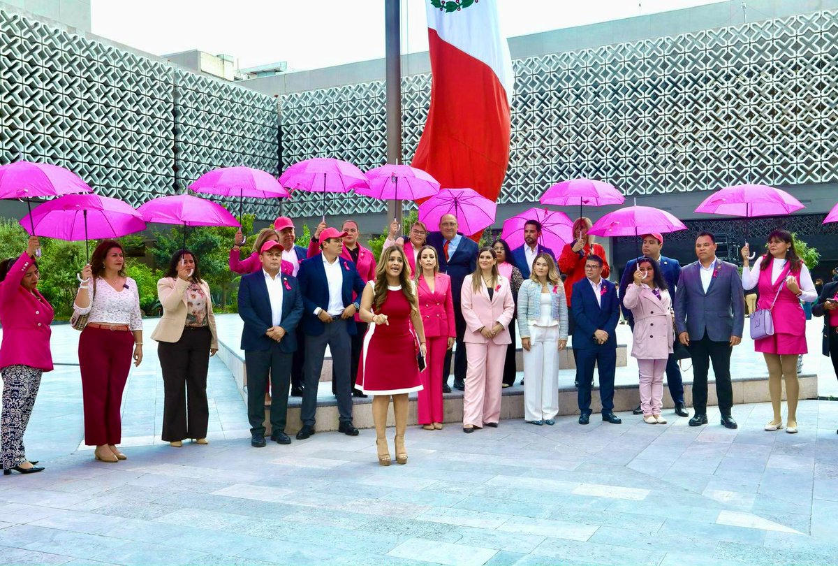 Formamos el moño rosa en el mes de la lucha contra el cáncer de mama, encabezados por la diputada <a href="/xitlalicceja/">Xitlalic Ceja García</a>, líder del <a href="/OnmpriNacional/">ONMPRI NACIONAL</a>. 🎀

Desde el PRI exigimos a #Morena que reconsidere el recorte de recursos para la detección, prevención y tratamientos para este