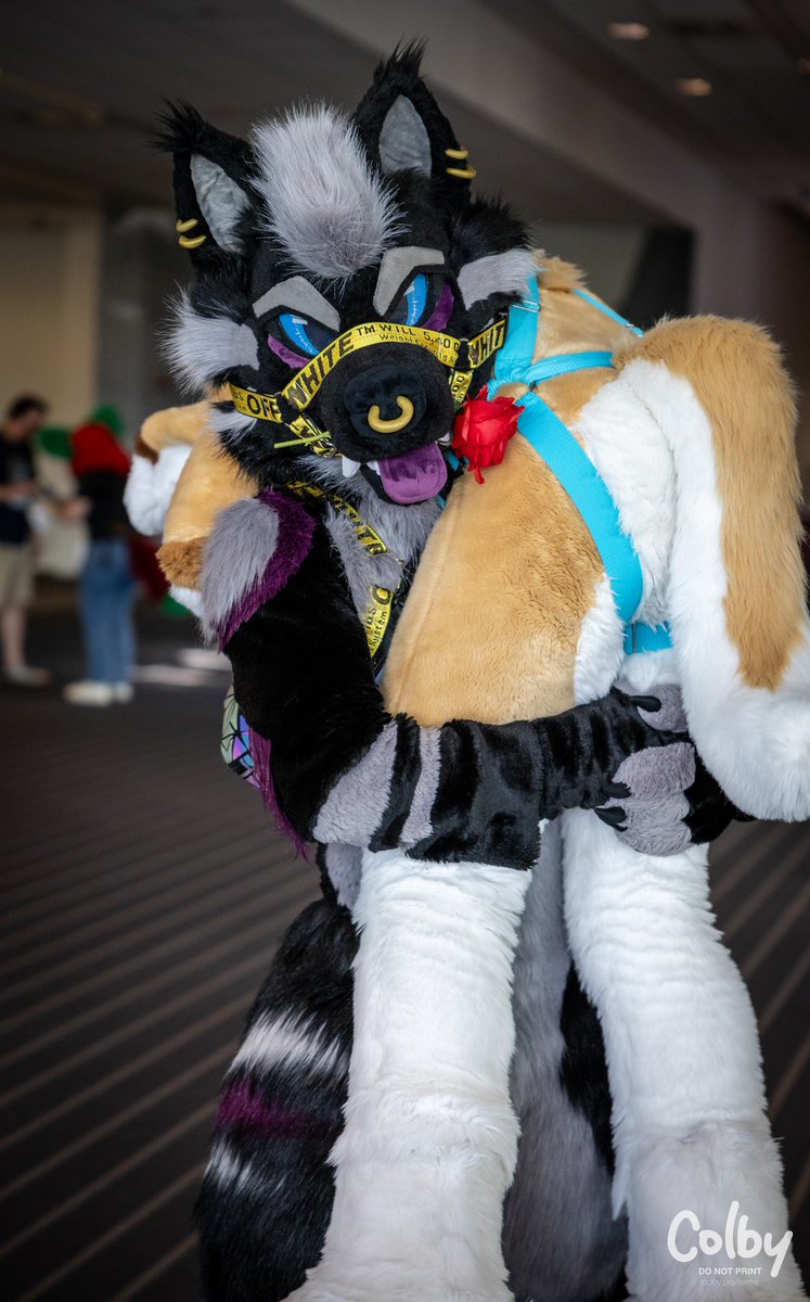 Reef 🏝️ 🔜 LVFC tweet media