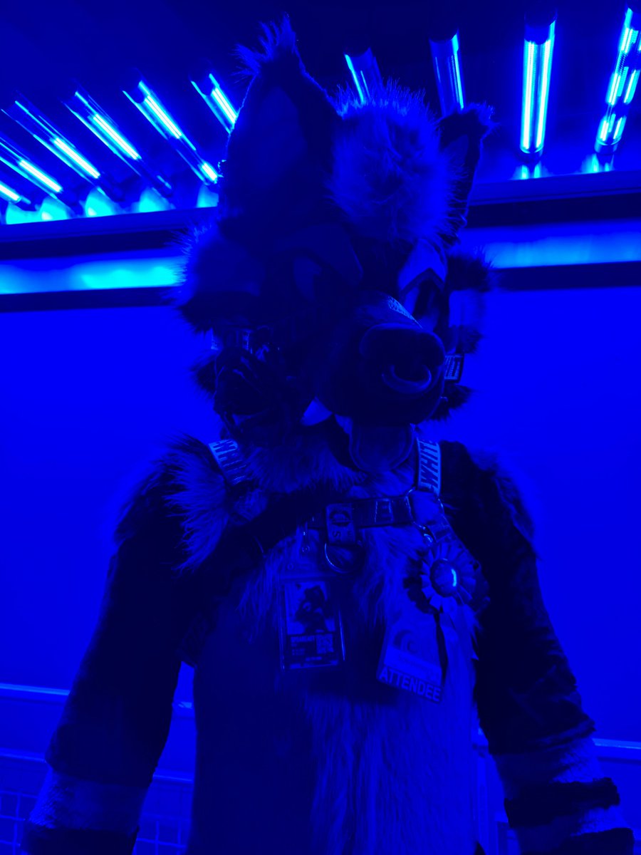 Reef 🏝️ 🔜 LVFC tweet media