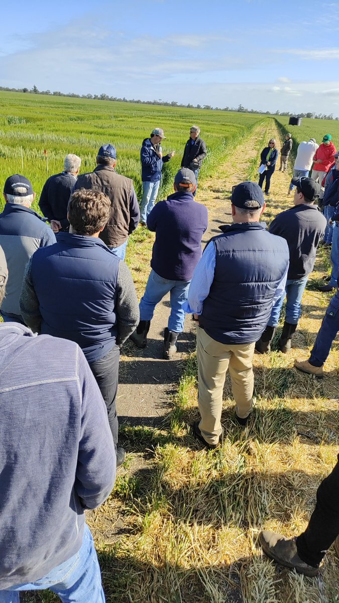 SADGA &amp; <a href="/MacKillopGroup/">MFMG</a> Cropwalk kicks off 951 Frances Rd. Tom Price FAR Australia details trails including Germplasm Evaluation Trials