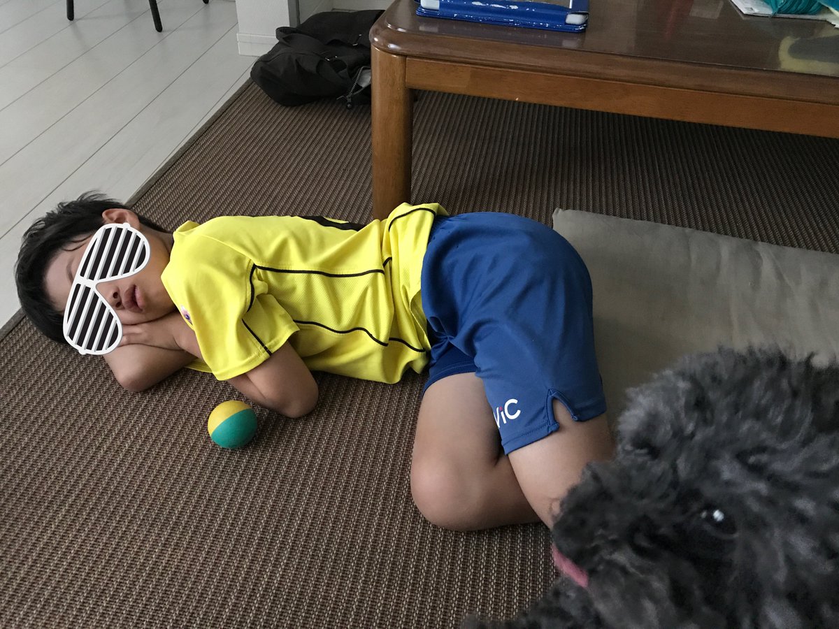 2018年10月8日 6歳のルークです꒰ᐡ. .̫ .ᐡ꒱
サッカーの試合から帰宅して電池が切れた息子を激写しようとしたらちゃっかりルークも写りこんでました🤣
しかもちゃんとカメラ目線w
もっともっとルークの写真撮りたかったな…

 #秘密結社老犬倶楽部天国支部 
 #お空組
 #思い出巡り
 #ペットロス