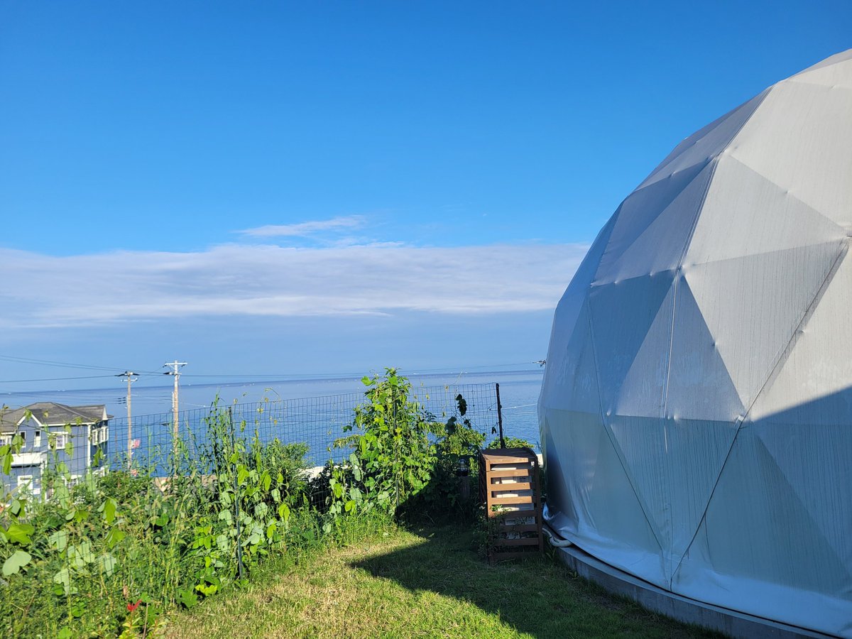 firefly_TP's tweet image. グランピング、ほんまに天気良くてよかった