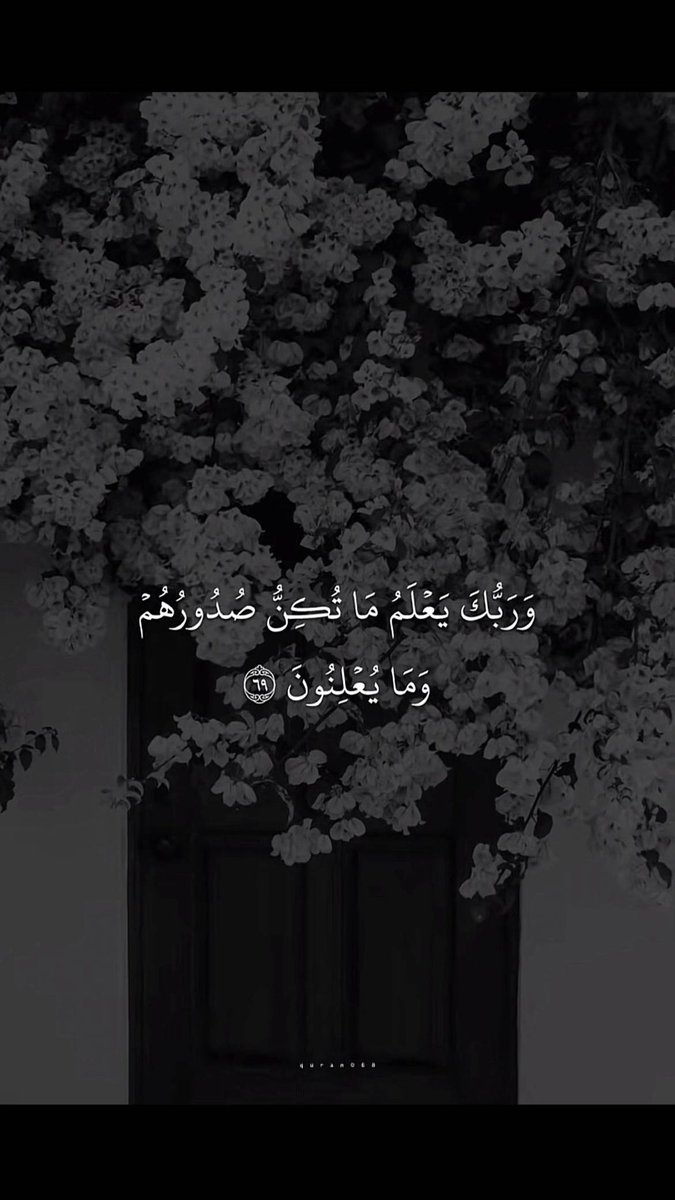 zx541's tweet image. #الوتر_جنة_القلوب