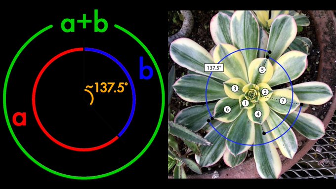 ClassicalAegis's tweet image. Mathematics is the language of Nature.
Geometry is its grammatical structure.