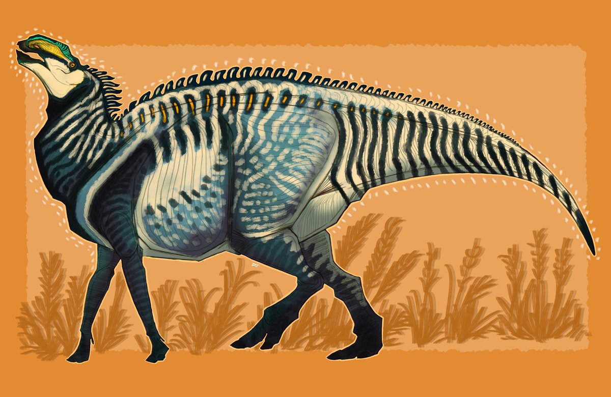 The newest duck-horse on the block, Ahshiselsaurus, announced just a little over a week ago and close relative to Kritosaurus