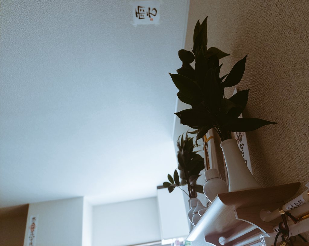 coffee_asagi's tweet image. おはようございます。
今朝の神棚完了。

今日は午前中オフ。
ピラティスへ。
午後は仕事の仕込み。
夕方現場入りし、夜から仕事。

良い１日に。

#神棚
#白湯
#南部鉄器
#及富 
#お薄 
#御台所流