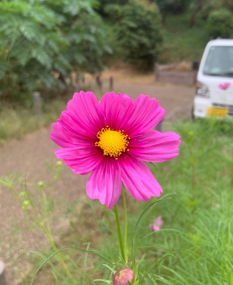 今夜から台風が接近🌀
今日は晴れて暑くなるにゃ
やっぱりタイムライン
おかしい…
☻⋆˚✩Ꮹ∞ძ ოǫɾлілϧ  ༘*ೄ˚☻
🍃•*¨*•.¸¸↟.｡.:*･𖤥𖠿𖦥𖥧.｡.:¨*•.¸¸🍃
#睡曜日