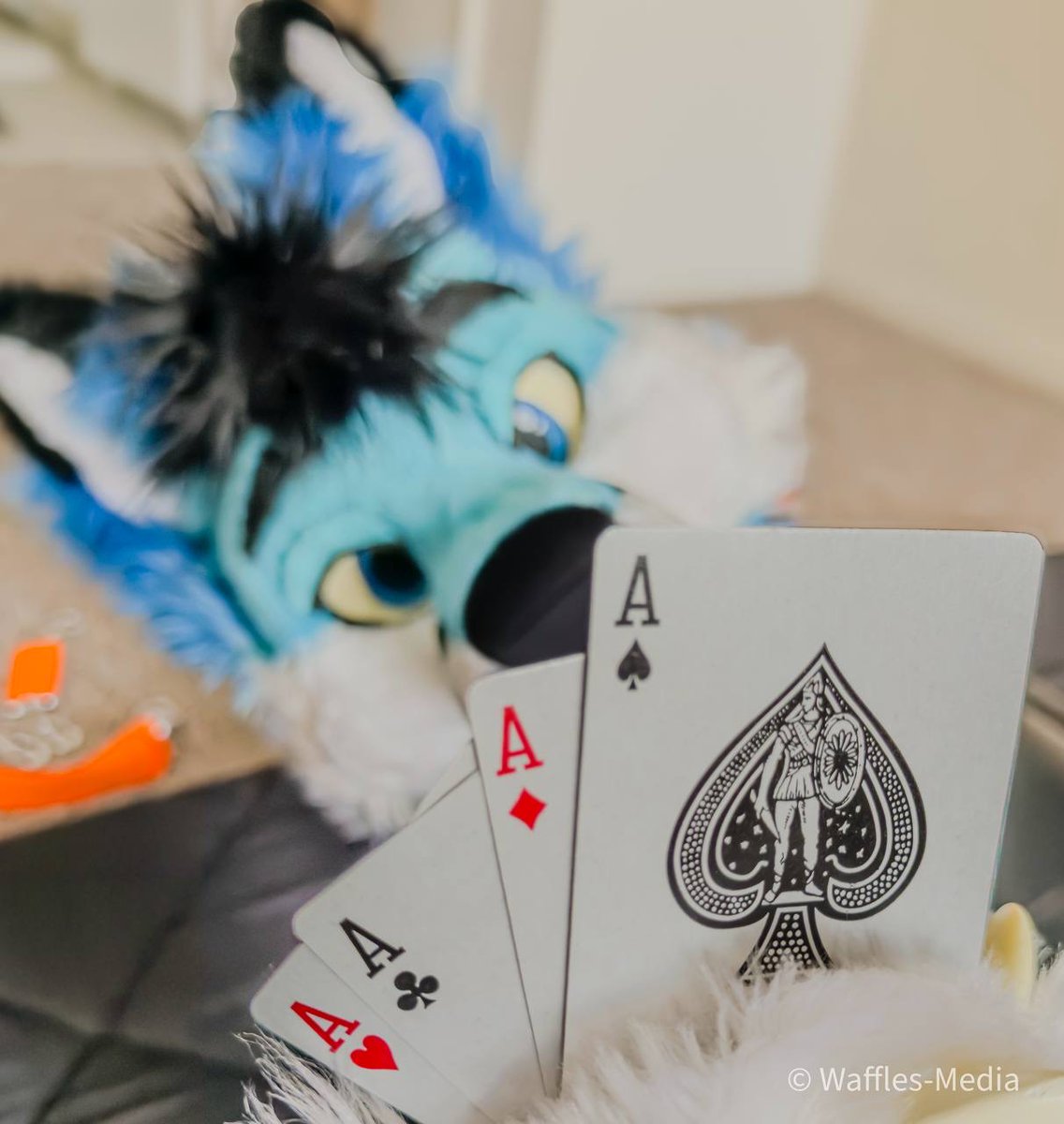 Fortis K. Fox tweet media