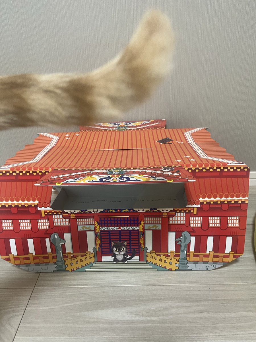 ラキョン (@ukkyo1227) / Posts / X