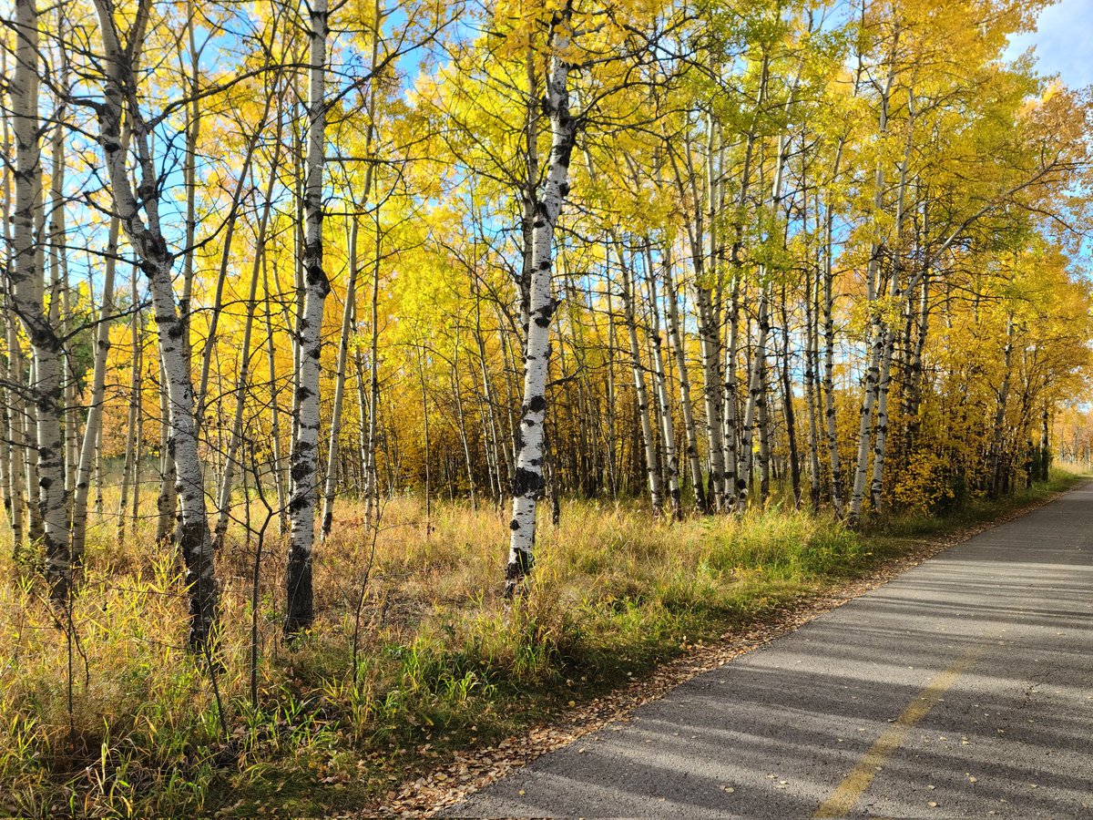 Lisa (Homer) Baril tweet media