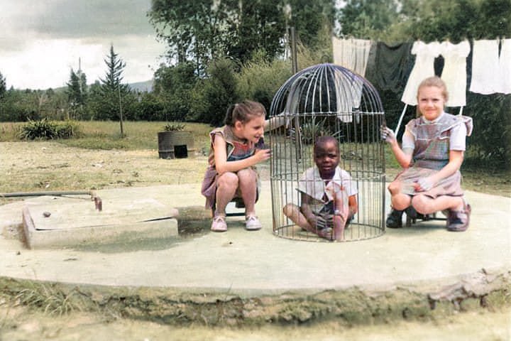 po_kaki_to_x's tweet photo. 1955年、ベルギーがコンゴを占領していた頃、父親が子供達を楽しませるために檻に入れたアフリカの子供を家に連れてきた時の1枚 https://t.co/SVuSrNyAA1