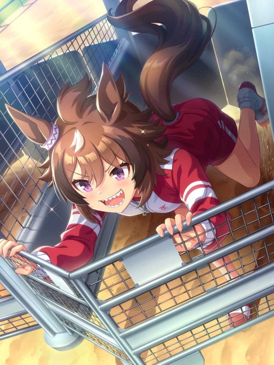 umapairs's tweet image. Today’s fifteenth pair is smartshinko!
#smartfalcon #shinkowindy