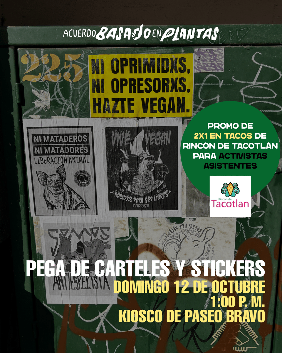 abppuebla's tweet photo. 💥 Este domingo 12/10, 1 p.m. — Kiosco del Paseo Bravo 💥
Nos reunimos para reactivar el activismo antiespecista con una pega de carteles y stickers 🧠🐷
Trae tu engrudo 💚
🔥 Activistas tienen 2x1 en tacos en Rincón de Tacotlán 🌮
#PueblaAnimalSave #Antiespecismo #PueblaVegana https://t.co/GeL1XrAmaQ