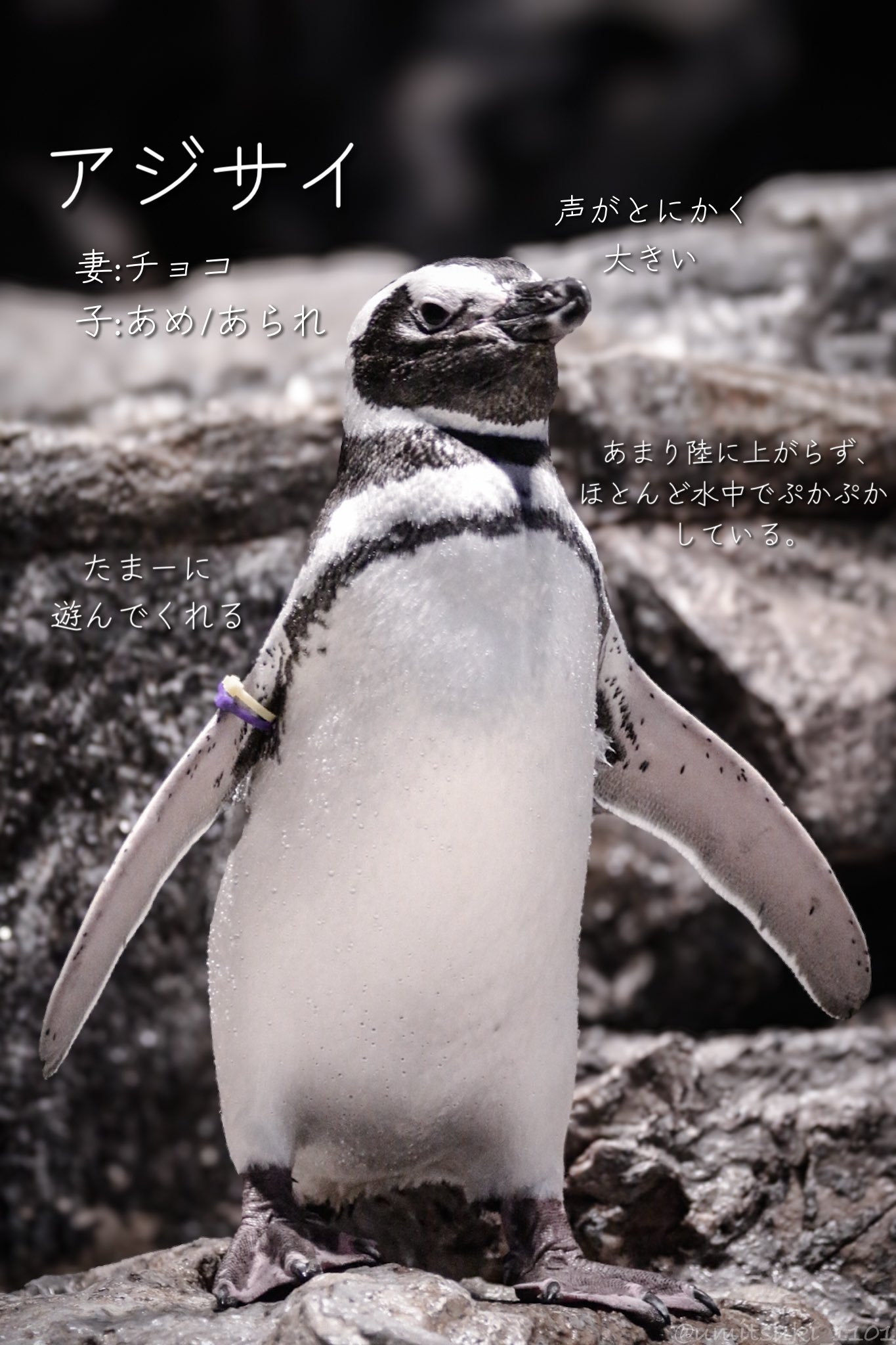 すみぺんページ umitsuki on X: 