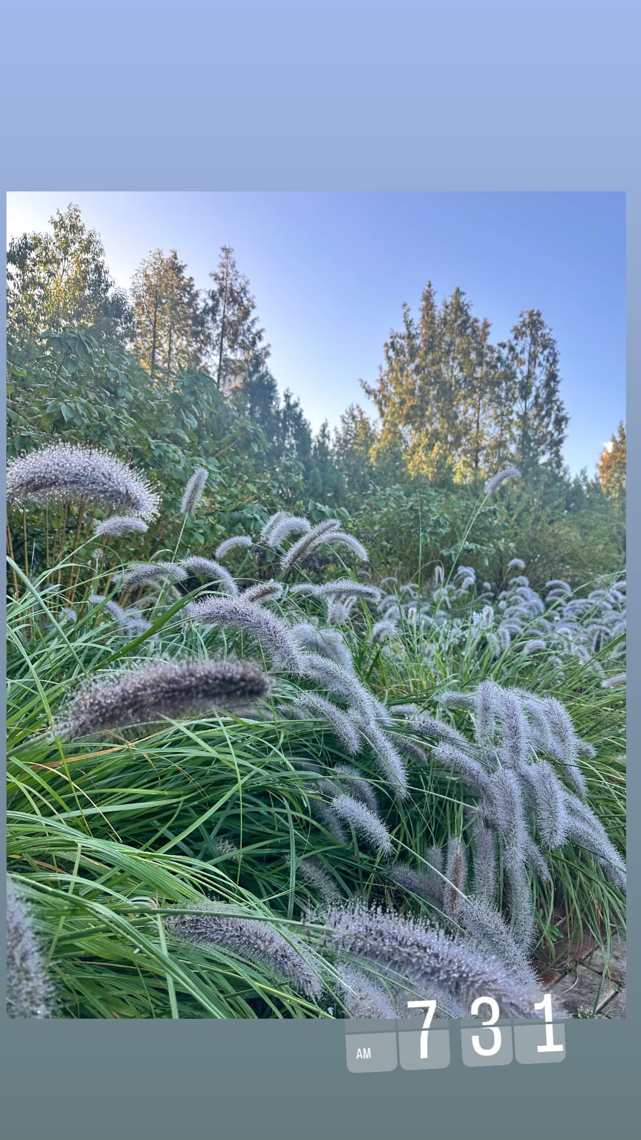 ♡Chang❤︎Min様ご確認♡ 💜w-min💜 on X: 