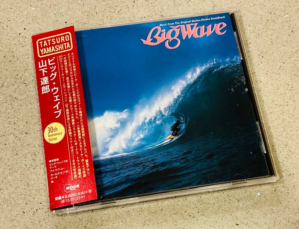 Big Wave finally arrived in the mail🌸